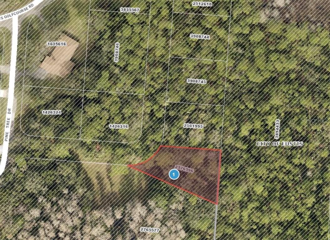 Pine Tree Dr., Eustis, FL 32726