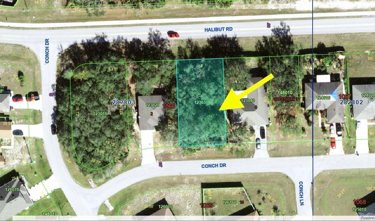 193 Conch Dr., Kissimmee, FL 34759