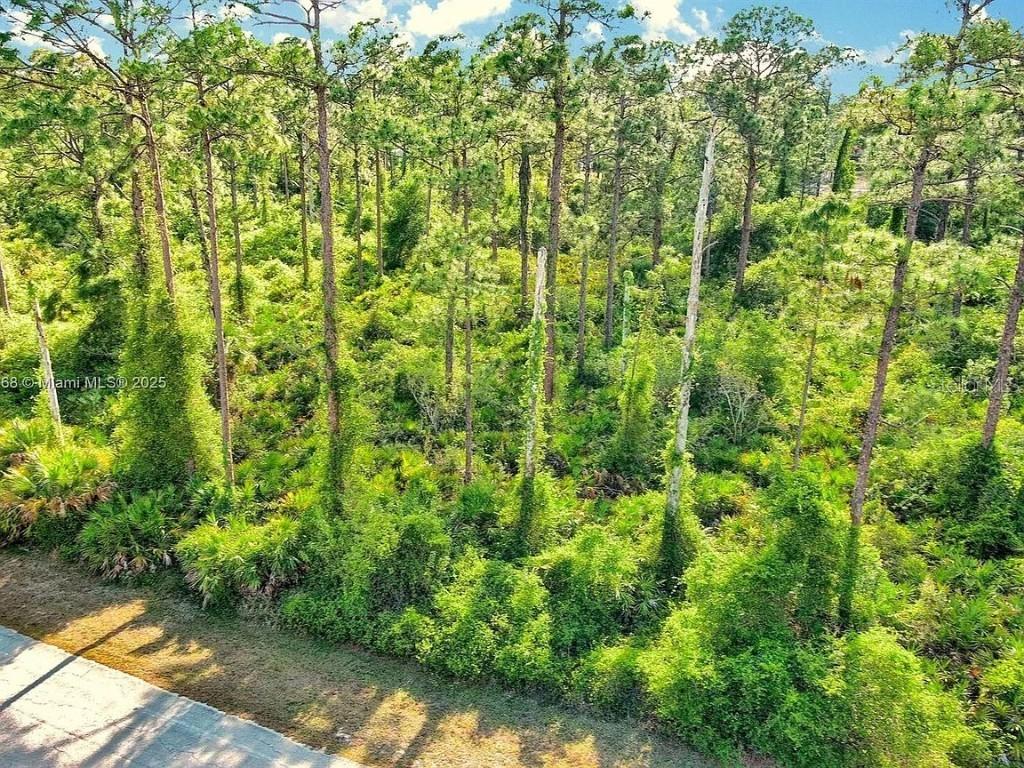 2019 Columbus Ave., Alva, FL 33920