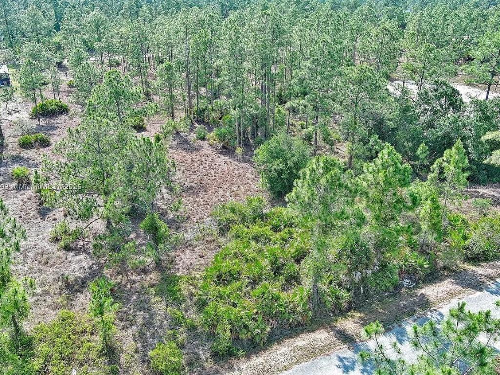 317 Fitch Ave., Lehigh Acres, FL 33936