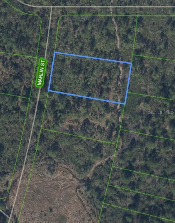 745 Marlin St., Lake Placid, FL 33852