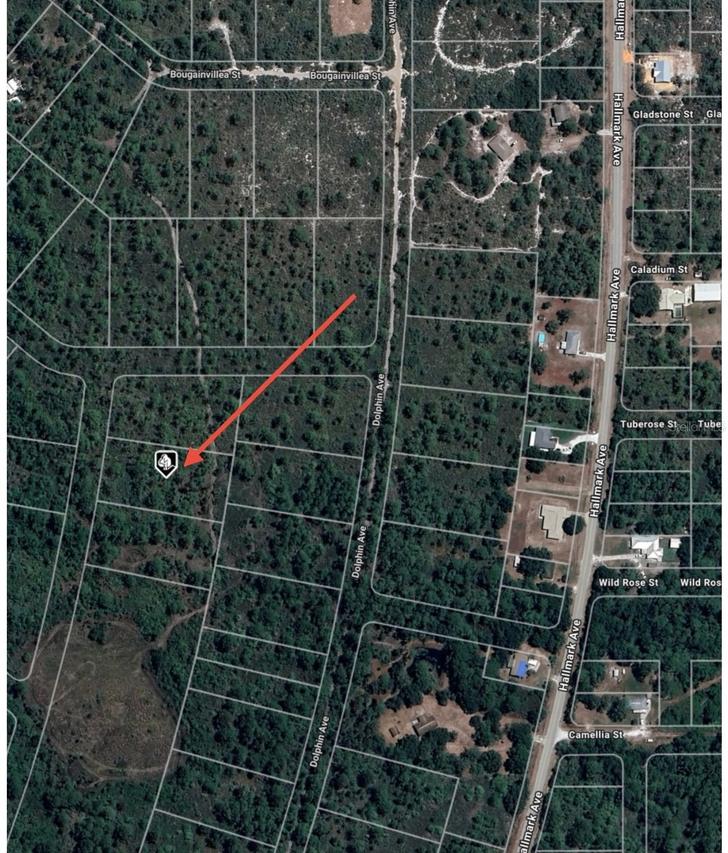 745 Marlin St., Lake Placid, FL 33852