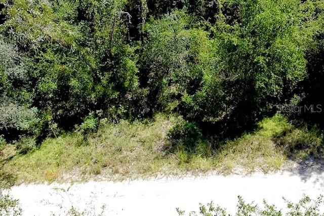 NE 138th Ter., Williston, FL 32696