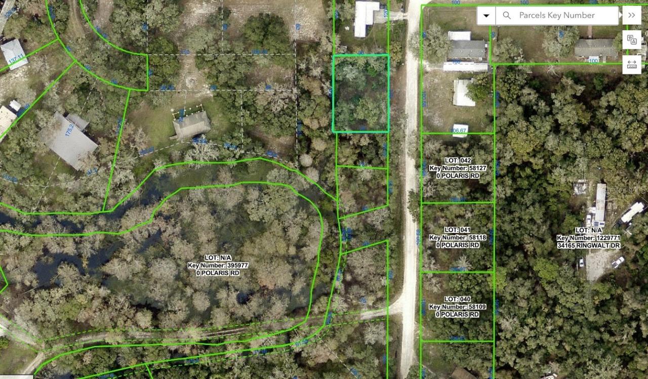 Polaris Rd., Dade City, FL 33523