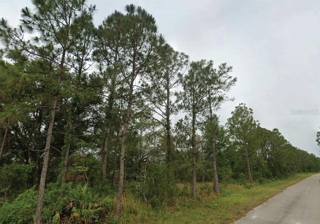7827 & 7839 Marin + 7824 & 7836 Leonardo St., Sebring, FL 33872