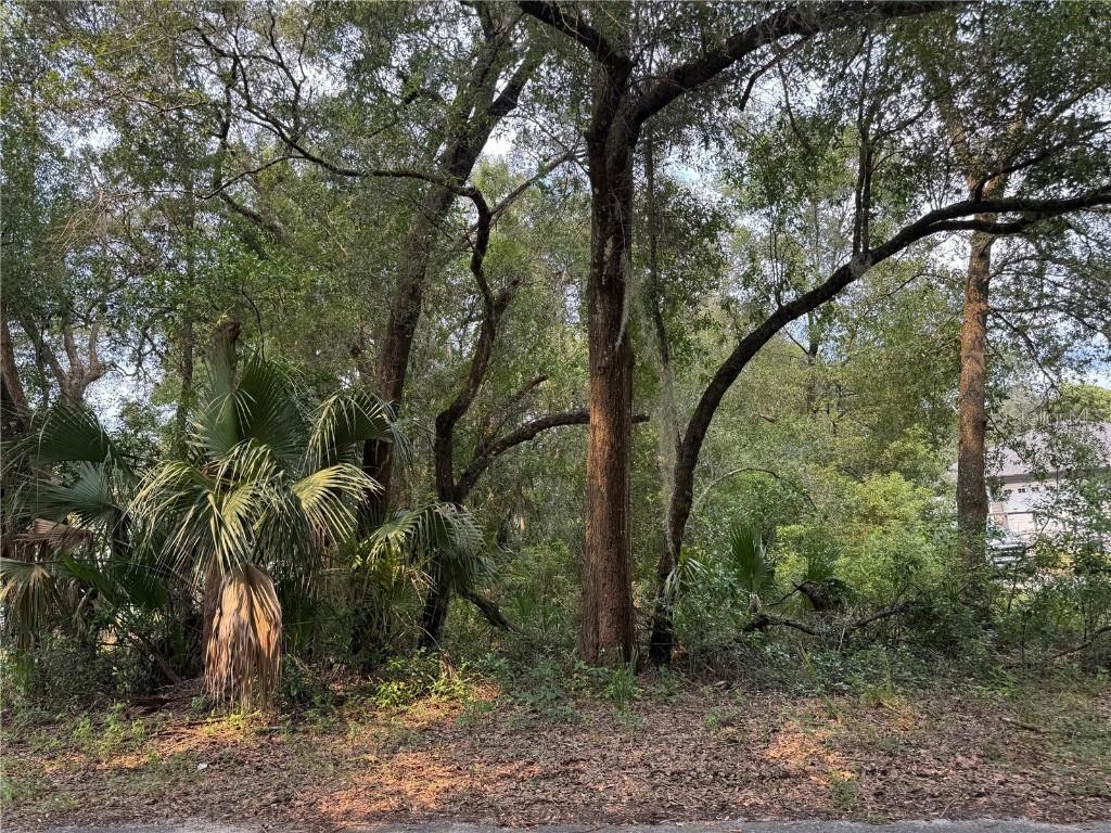 Strawberry Ave., Sorrento, FL 32776