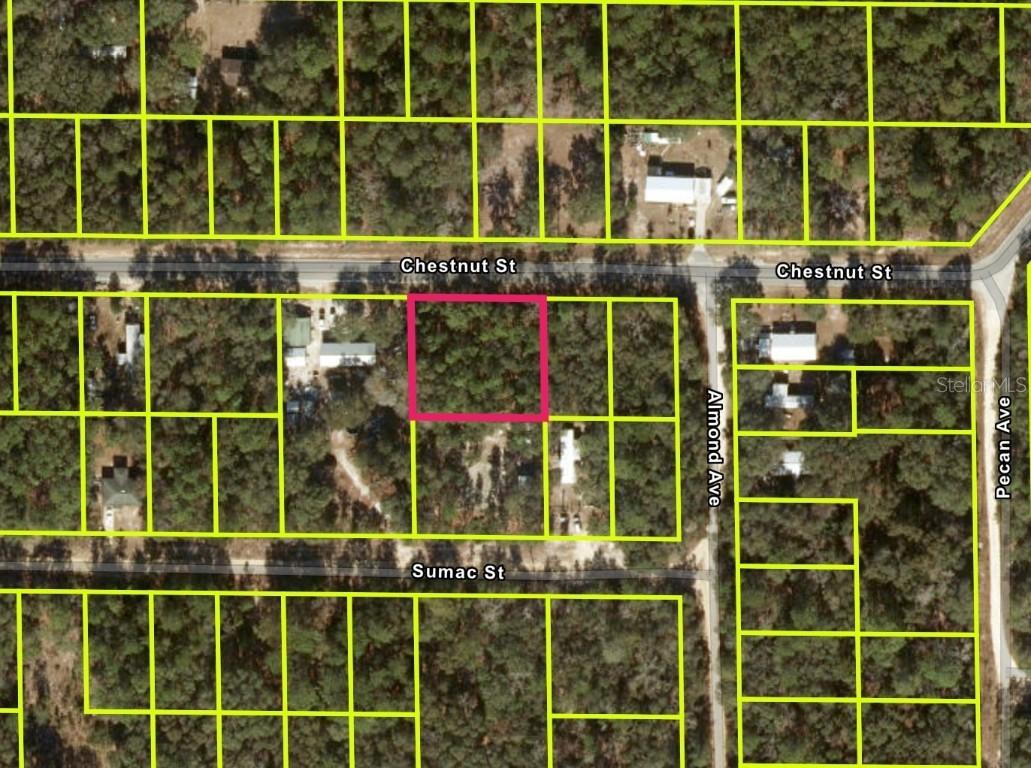 Chestnut St., Interlachen, FL 32148