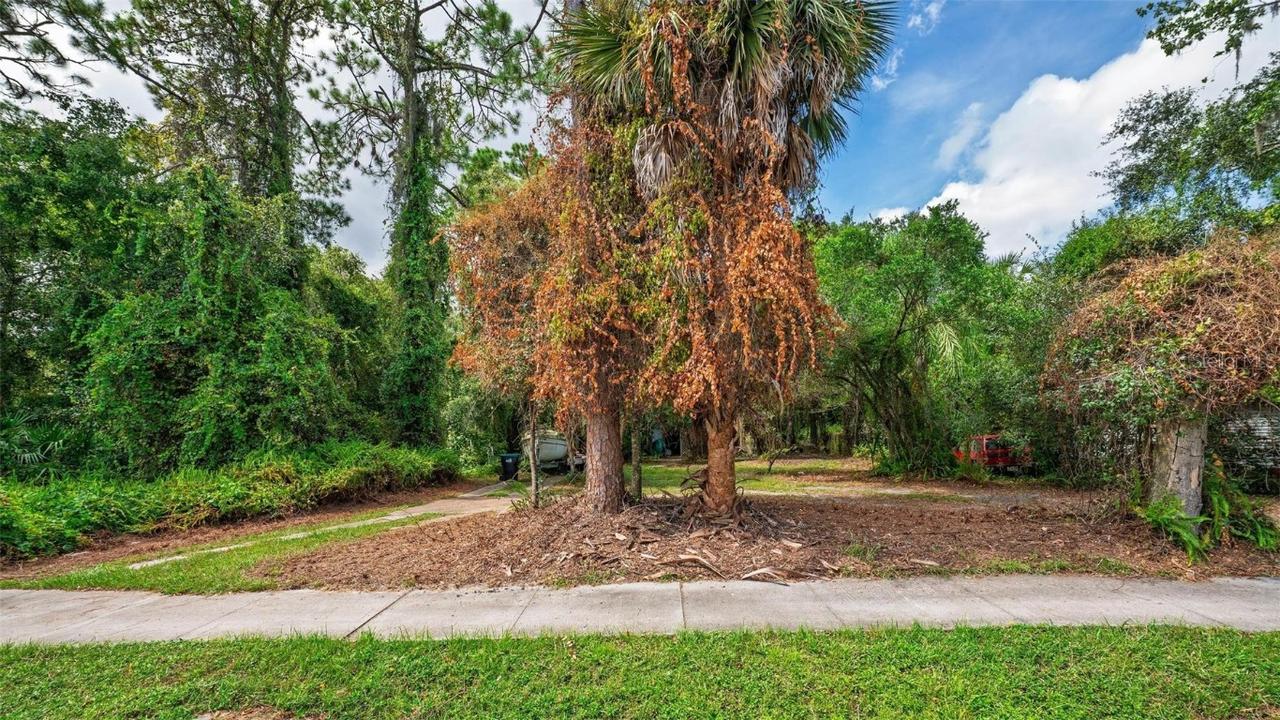 14047 Lake Price Dr., Orlando, FL 32826
