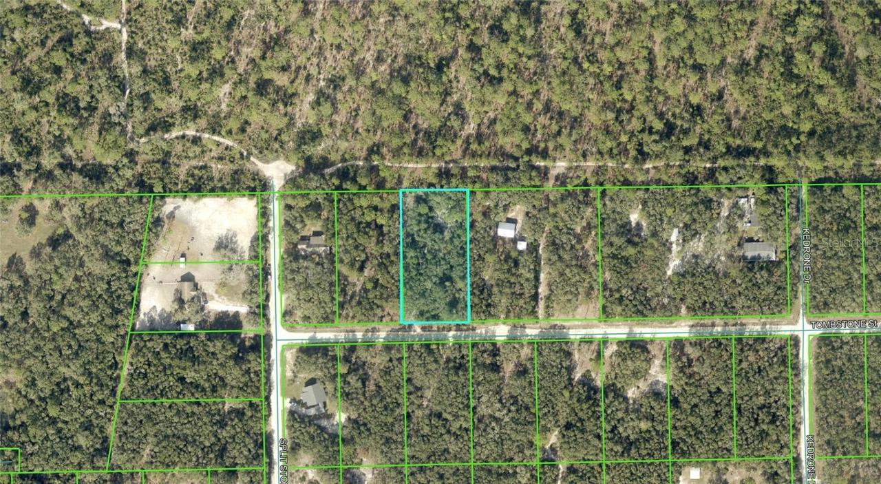 Tombstone St., Webster, FL 33597