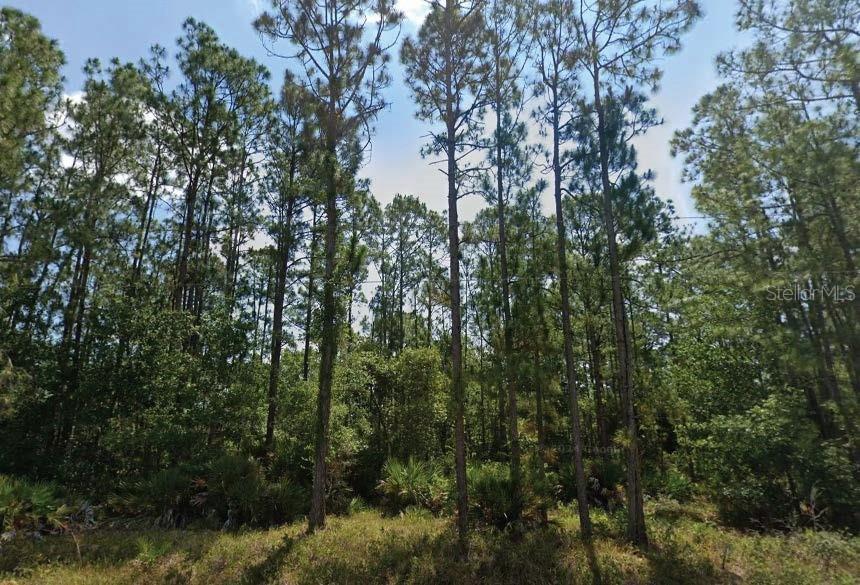 6028 Dian Ave., Sebring, FL 33875