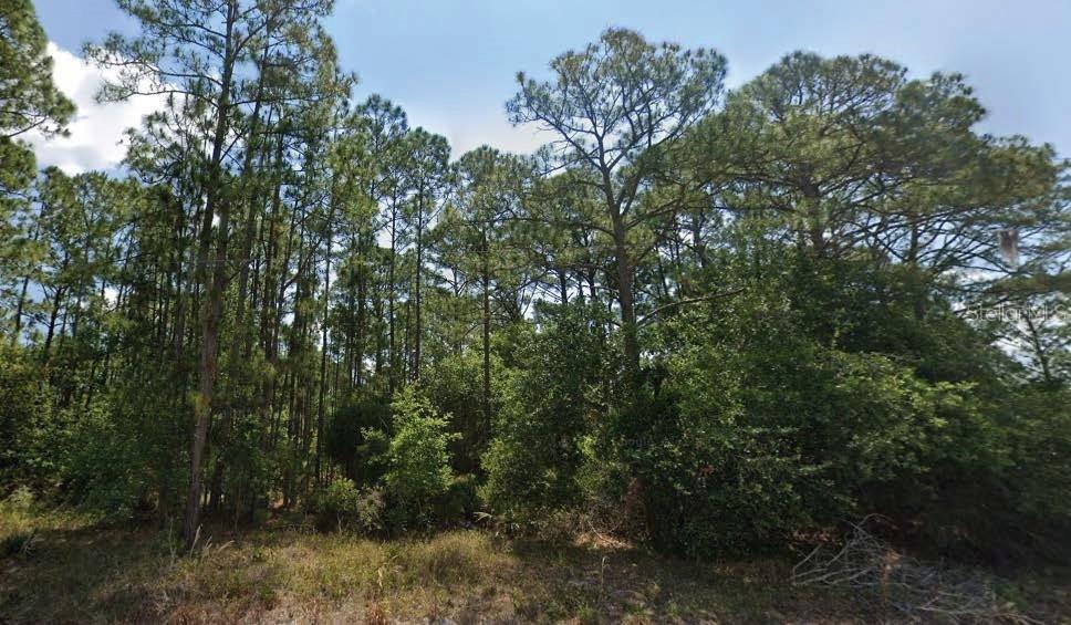 6034 Dian Ave., Sebring, FL 33875