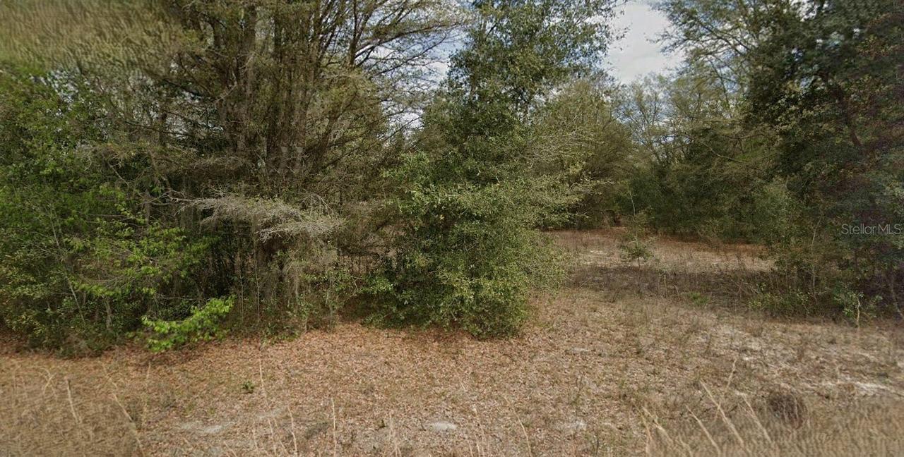 Guy Ave., Interlachen, FL 32148