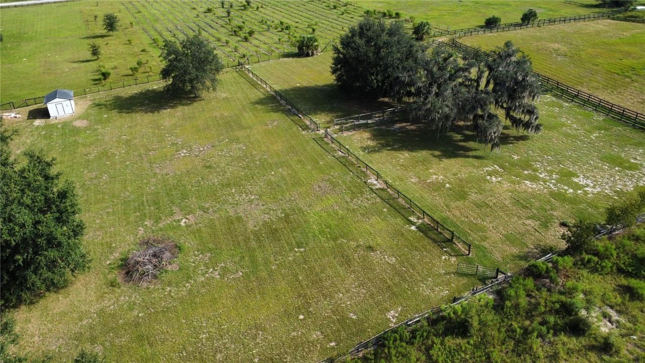 16629 SE 19th Ct., Summerfield, FL 34491