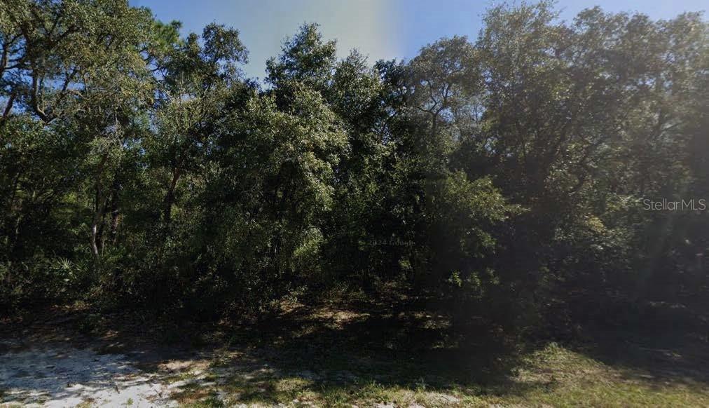 Marion Ave., Interlachen, FL 32148