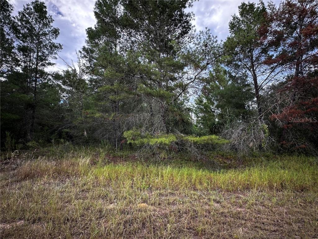 Lot 25 Fisher Run, Ocklawaha, FL 32179