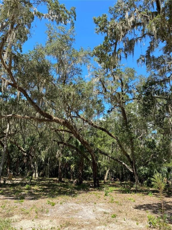 12641 W Amur Maple Pl., Crystal River, FL 34428