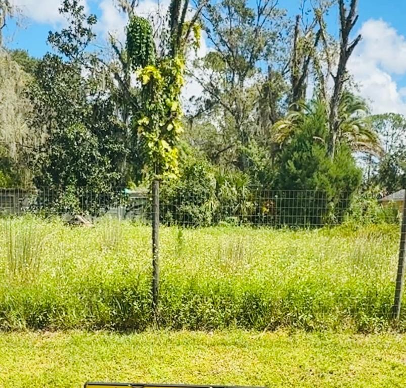 1229 Cupid Ave., Christmas, FL 32709
