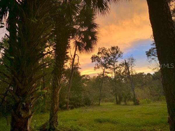 1705 Sunset Tr., Geneva, FL 32732