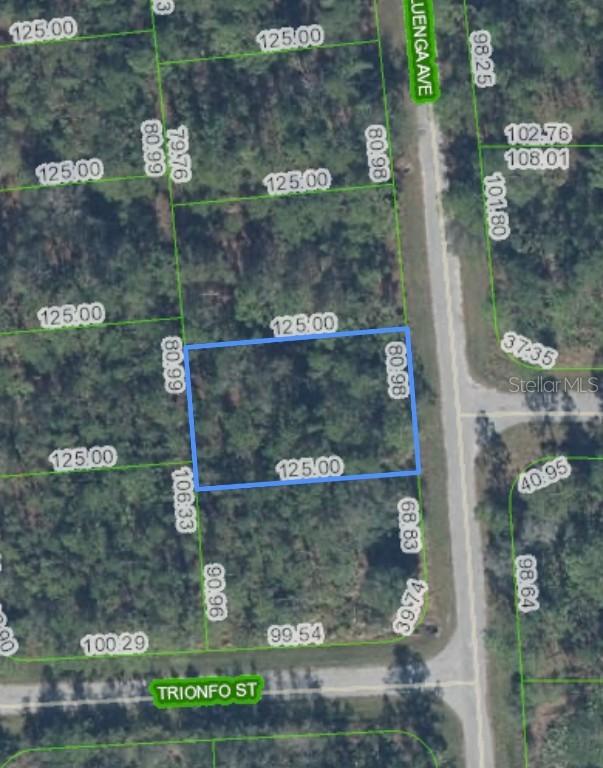 5119 Luenga Ave., Sebring, FL 33872