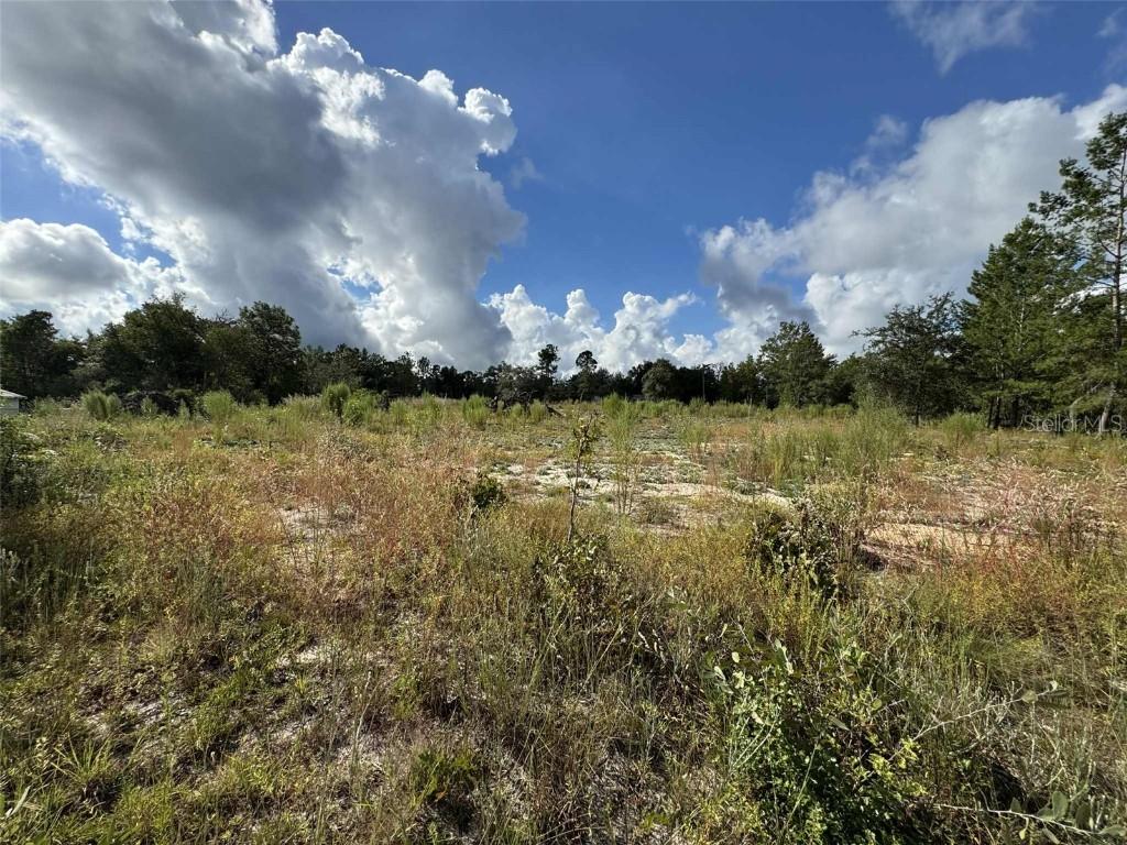 533 Interlachen Blvd., Interlachen, FL 32148