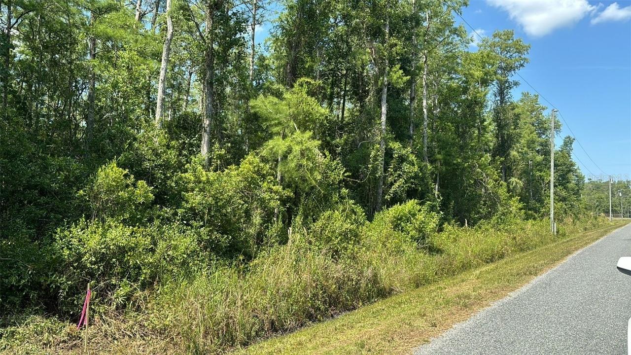 Atlanta Dr., St Cloud, FL 34773