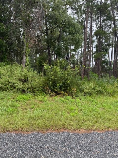 1476 6th Ave., Deland, FL 32724