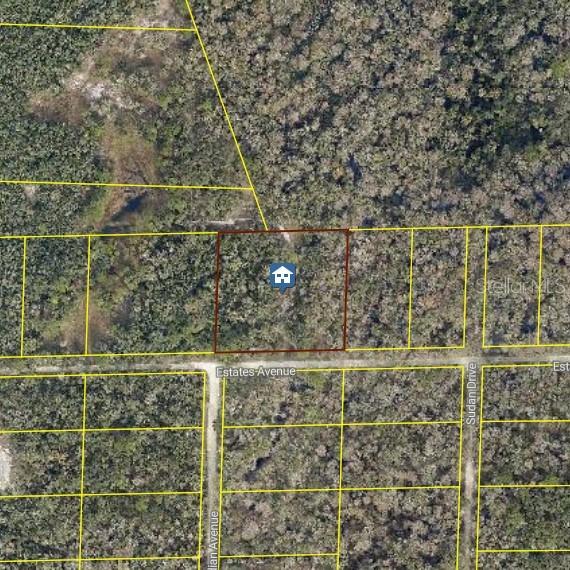 Rose Bloom Ave, Webster, FL 33597