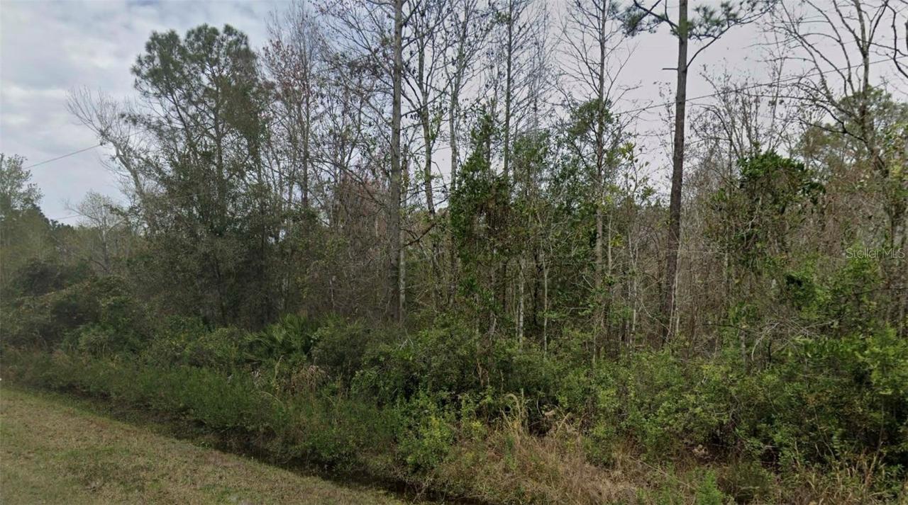 4260 Benedict St., Hastings, FL 32145