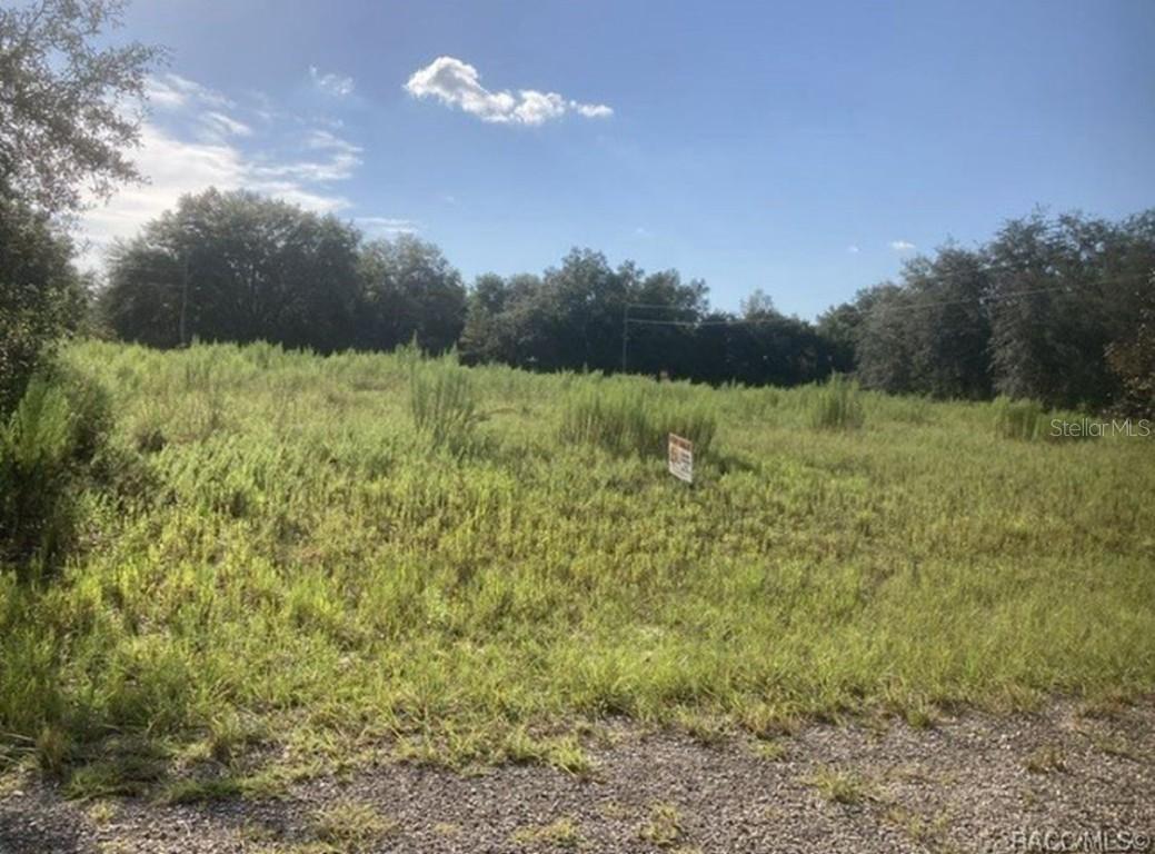 7692 N Fisher Trrace, Citrus Springs, FL 34434
