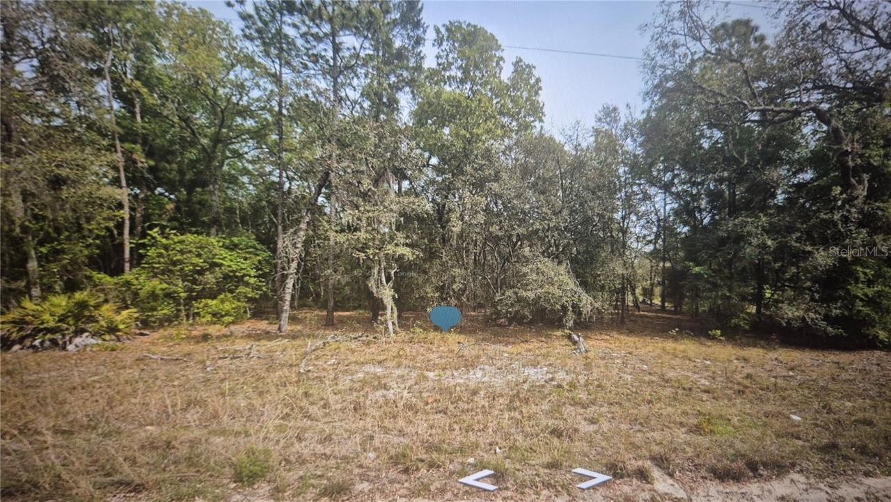 120 Lancaster St., Interlachen, FL 32148