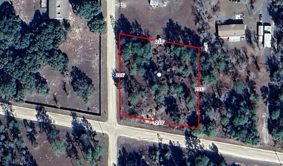 Ne 8th St, Williston, FL 32696