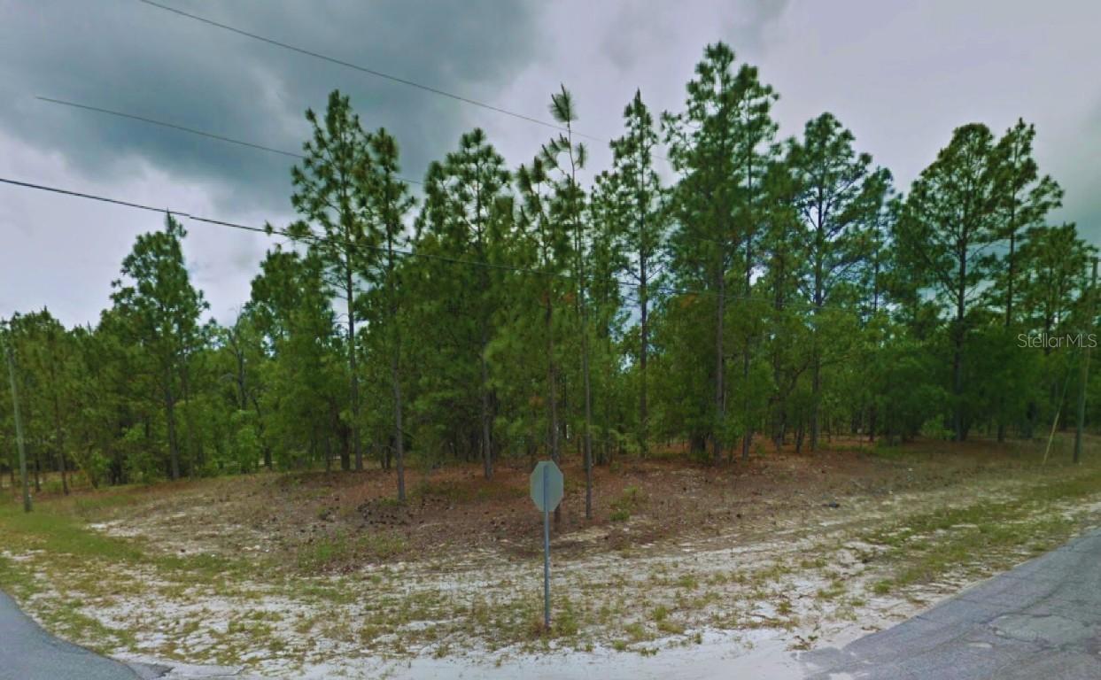 1188 W Zamora Ln., Citrus Springs, FL 34434
