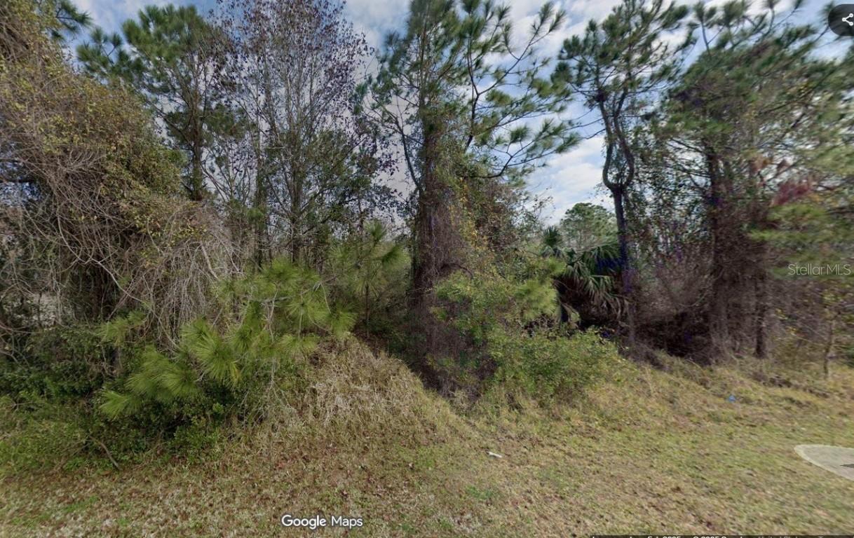10 Zephyr Lily Tr., Palm Coast, FL 32164