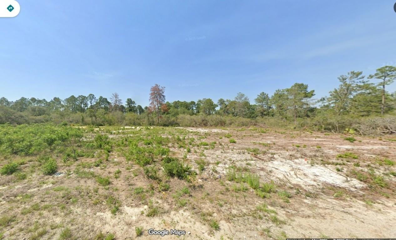 Fisher Pl, Ocklawaha, FL 32179