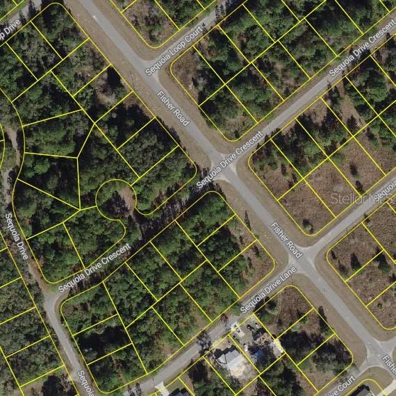 Sequoia Dr, Ocklawaha, FL 32179