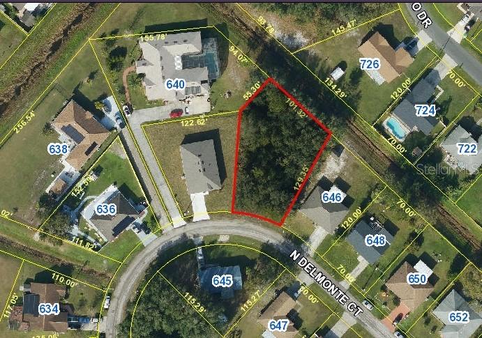 N Delmonte Ct., Kissimmee, FL 34758
