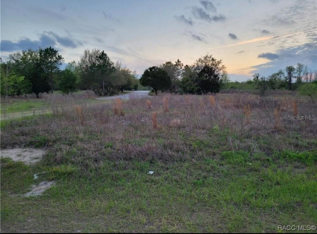 702 E. Sequoia Pl. Flat, Citrus Springs, FL 34434