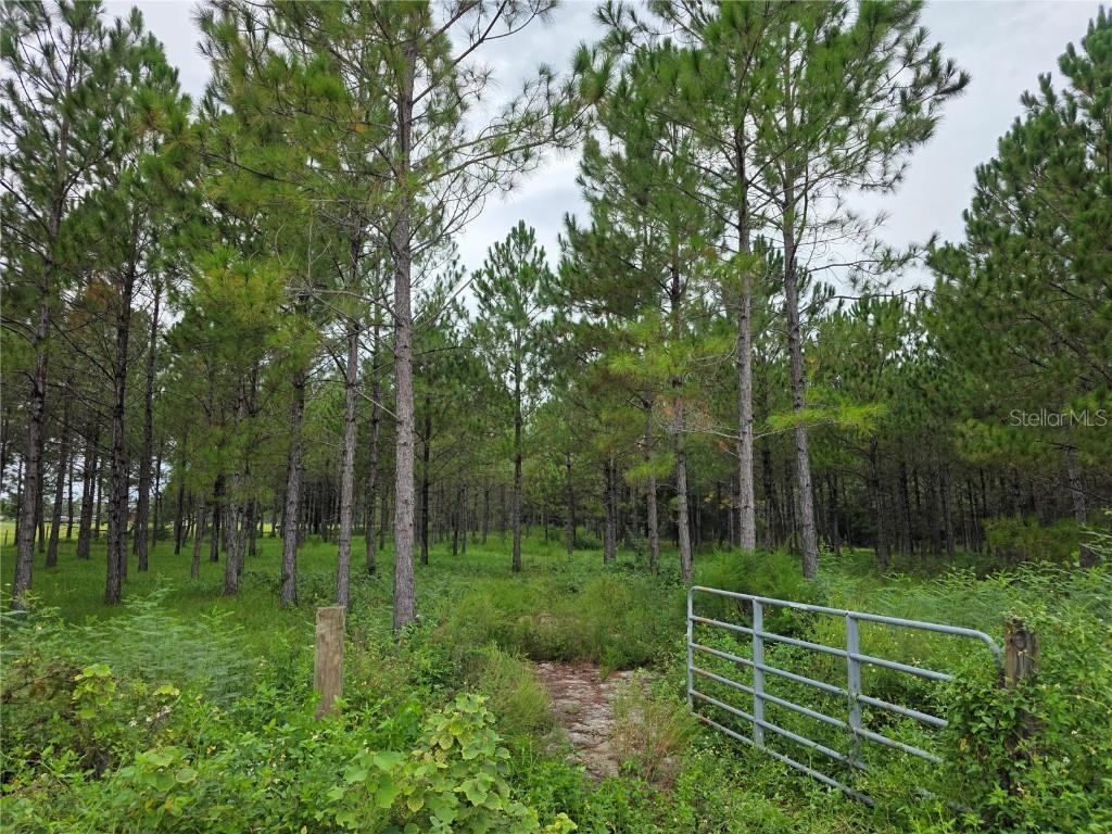 10830 Moore Rd., Lakeland, FL 33809