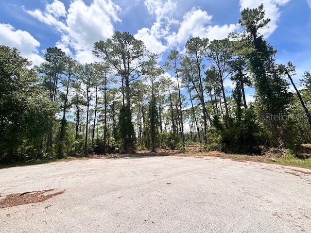 Chinaberry Way, Eustis, FL 32736
