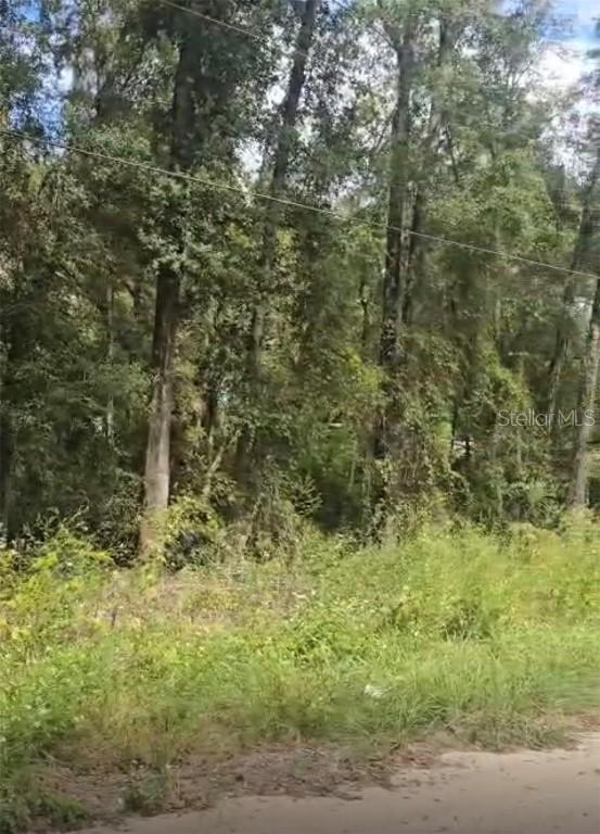 Sw 137 Ave, Dunnellon, FL 34432