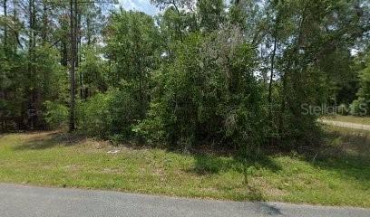 11910 Monica Dr., Citrus Springs, FL 34433