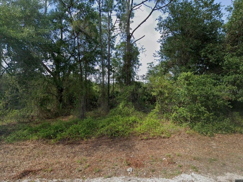 1015 Pilgrim St., Lehigh Acres, FL 33974