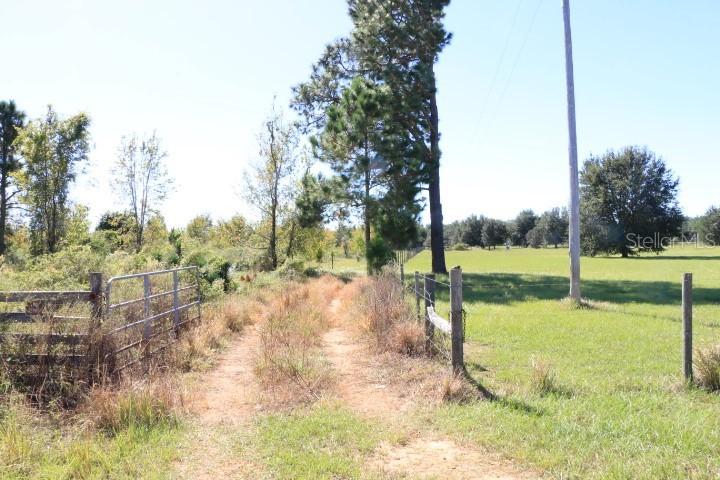 11307 Carter Island Rd., Groveland, FL 34736