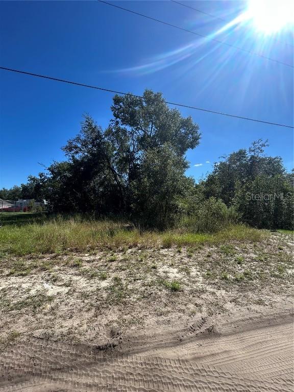 Palm St., Lady Lake, FL 32159