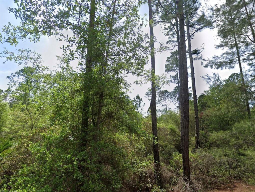 126 & 128 Grandale St., Georgetown, FL 32139