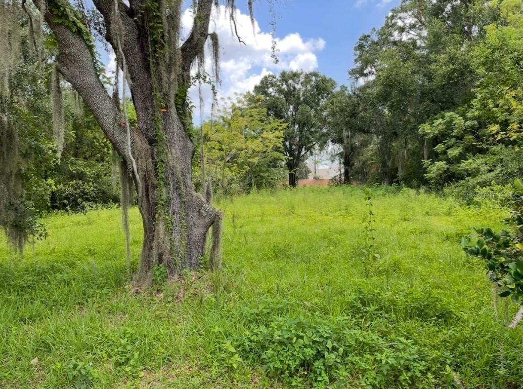 7449 Restful St., Winter Park, FL 32792