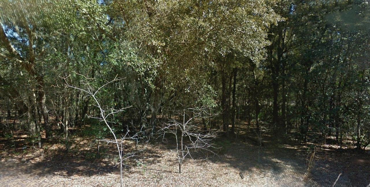 202 Cedar Tr., Interlachen, FL 32148