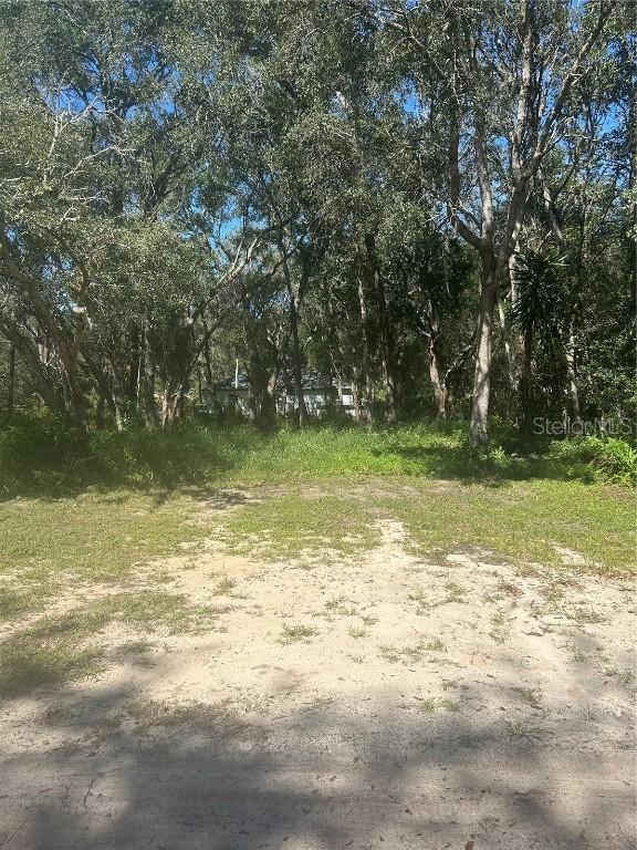 Calamondin St., Lady Lake, FL 32159