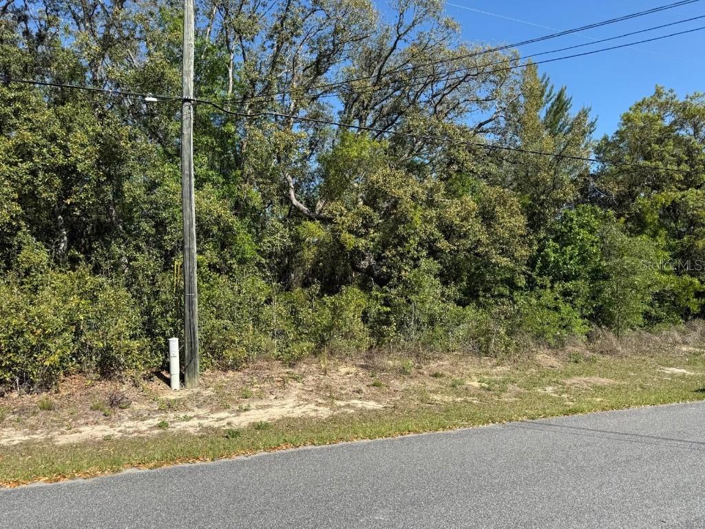 2789 W Manitoba Pl., Dunnellon, FL 34433