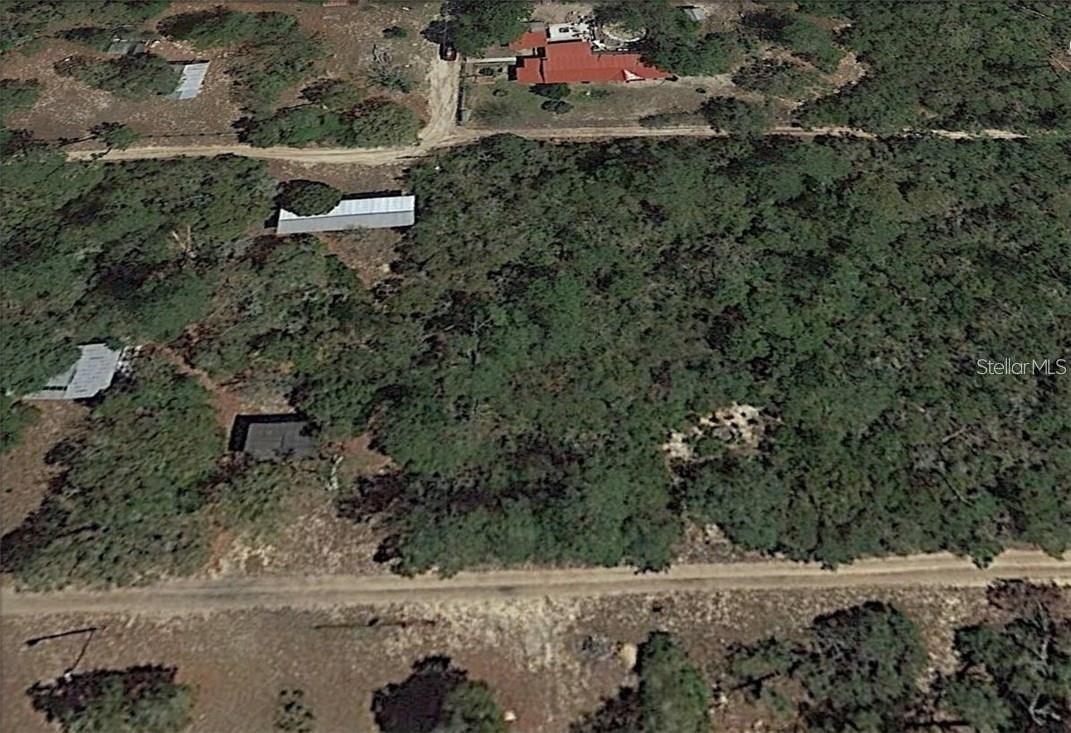 NE 154th Ter., Fort Mc Coy, FL 32134